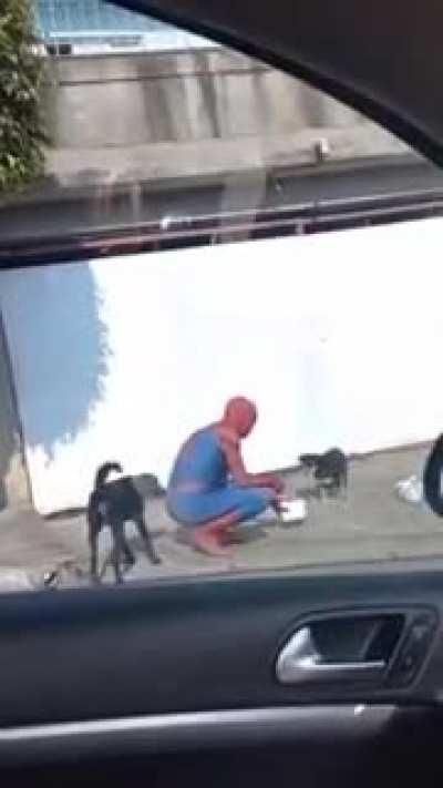 Spider man is just so amazing 😊