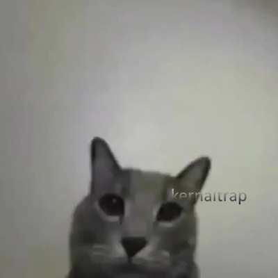 kid named middle finger