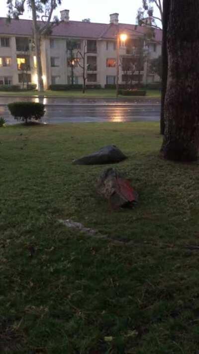 Some much needed rainfall in Southern California