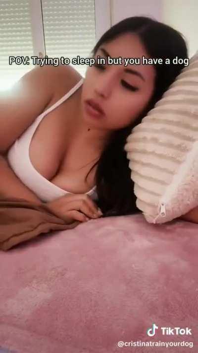 @cristinatrainyourdog