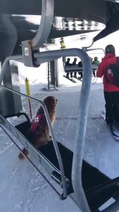 Ну очень хороший мальчик