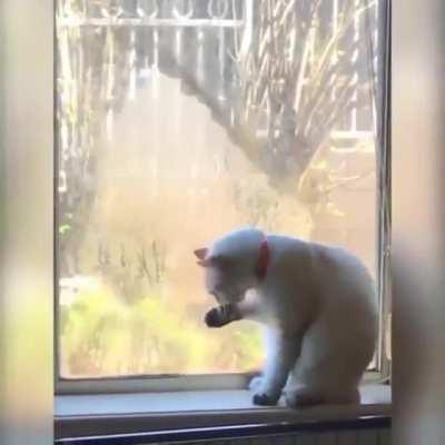 Hey! Did you know...