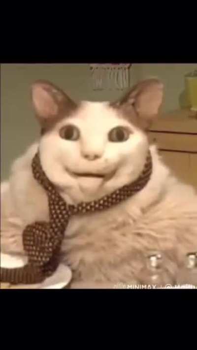 BeelcitosMemes - Video #4889