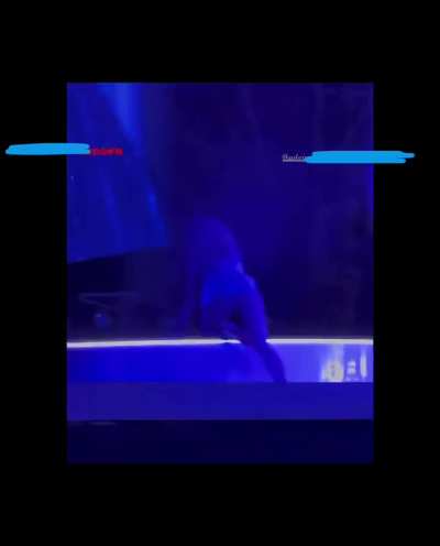 What is this??? Sabrina at Austin City Limits Festival (Weekend 2)