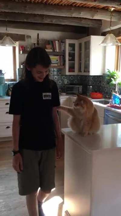 My cat ‘needs’ treats