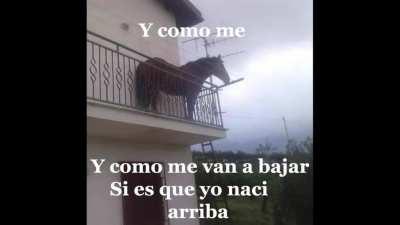 Juan trap primer meme que hago.