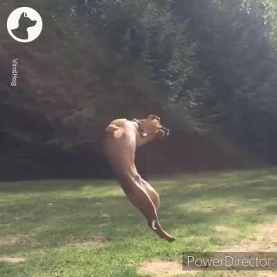 Me trying to do aerials...