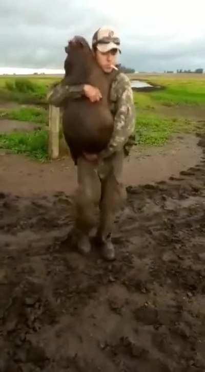 Pra comemorar a chuva no RS estamos assim