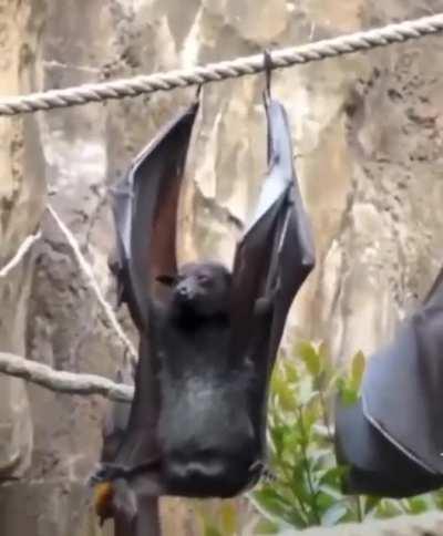 Солёненькая пошла.