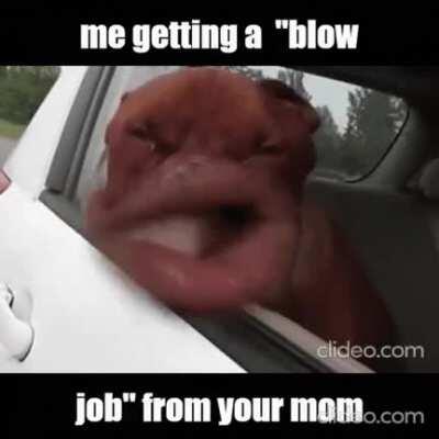 Woah she can blow really good (dont get too mad its a joke) 💨💨💨💨💨💨💨