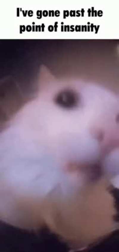 9fkfjkrjpposididsr🥰🥰