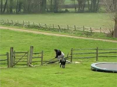 What is it with us guys and trampolines, lmao?