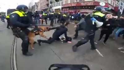 Как чудно в Голландии с антиваксерами поступают. Просто прелесть.