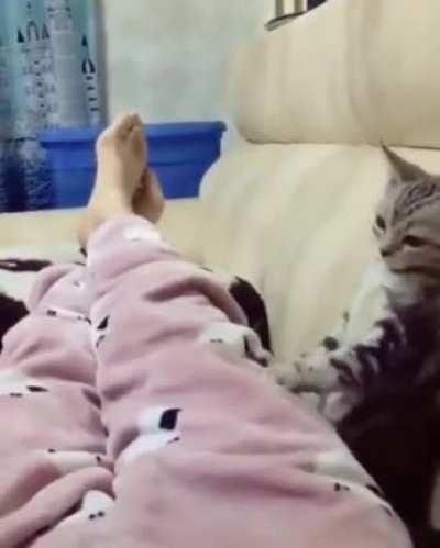 Отрабатывает ренту