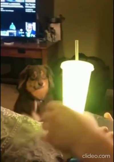 Охуеть, чо происходит?