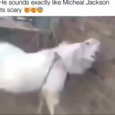 Como pode??? 😰😭😭