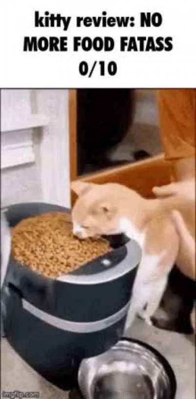 Daily Wunk Review 13