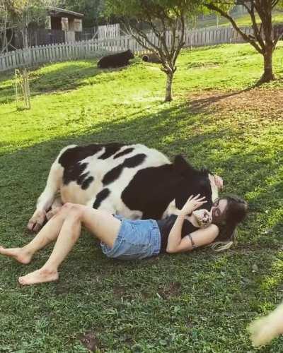 They're all grown up, but they still want to be cuddled like a puppy