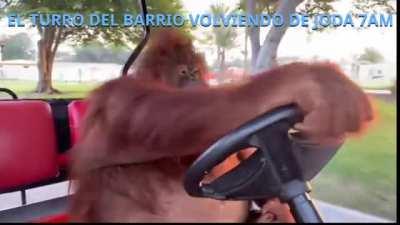Cuando llega el turro al barrio 7am (feliz 2022 para todos)