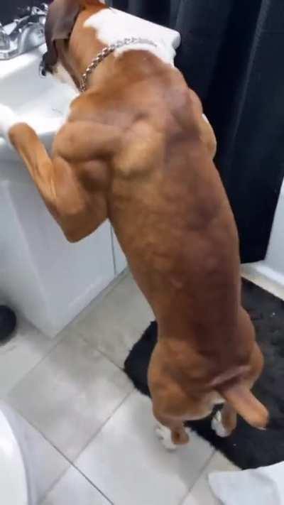 This Unit Has Been Hitting The Gym