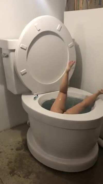 Thanks I Hate Swimming in a Toilet