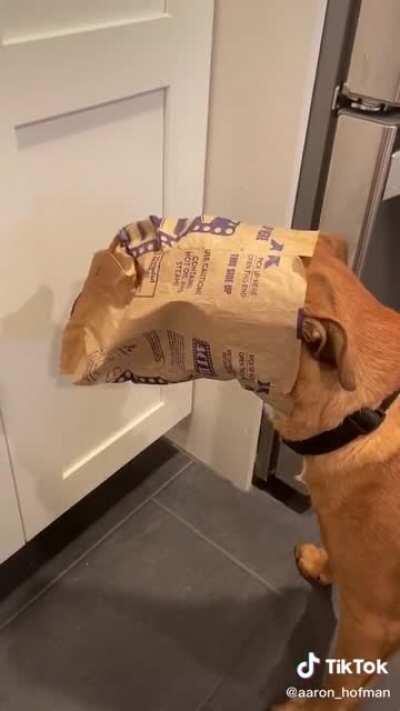 Welp, I’ve got my treat. Nothing else I can do here.