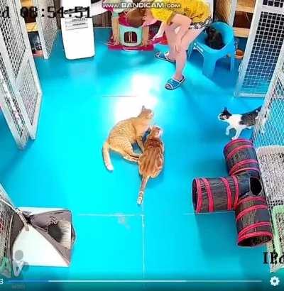 Scuse me, I wus sittin here!