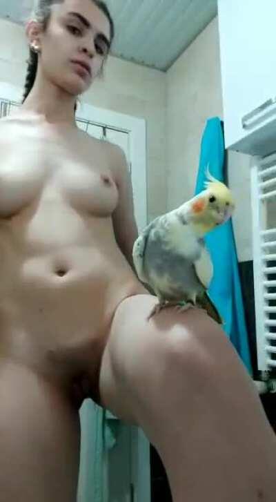 Bazen bir papağan olmak istersin