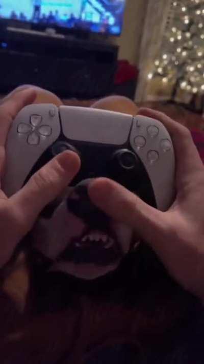 So, why is my controller wet?