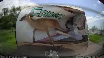 Fucking stupid son of a bitch