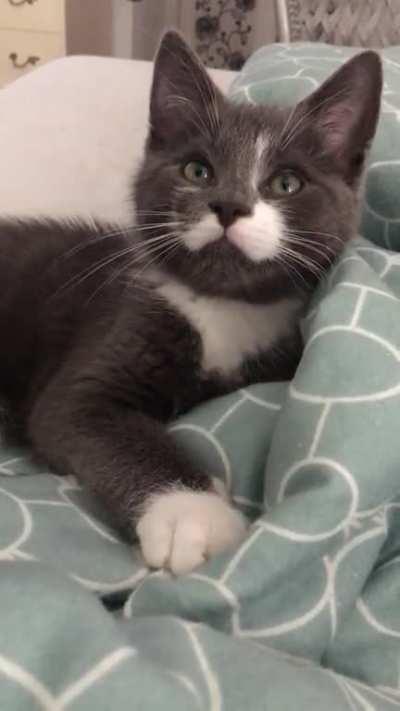 Rick is happy that I’m awake