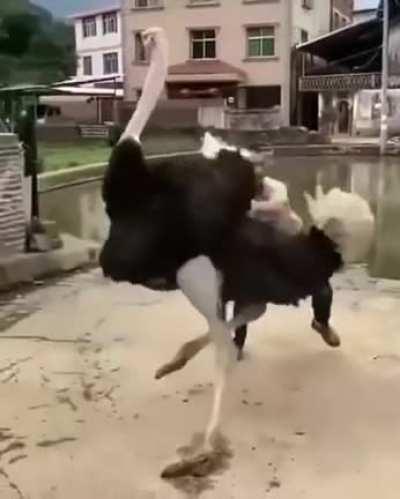 I found that one Reddit