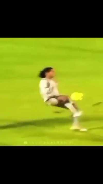 O bruxo 🧙‍♂️🪄