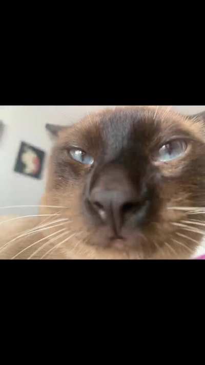 this is how i feel as a slasher and john doe main