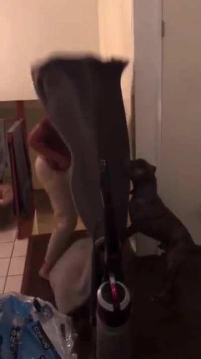 Headachey. Maybe a back achey, too...but definitely a headachey.