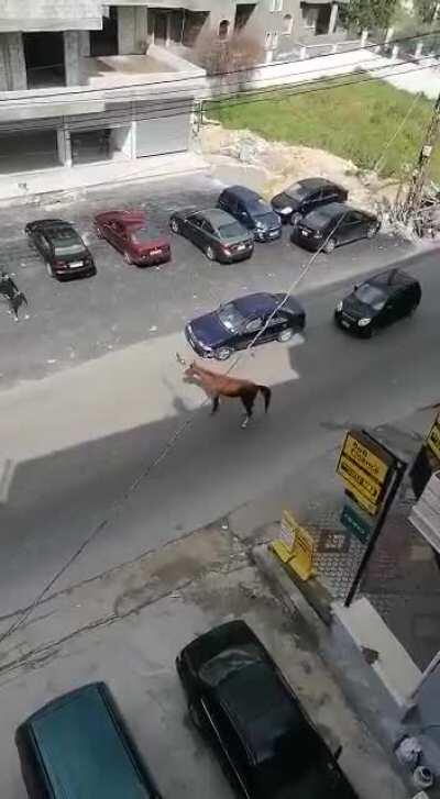 How will he explain this to the insurance company...