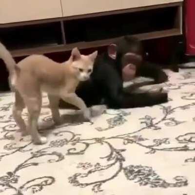 Pareja hot sexo casual indecentes buscar