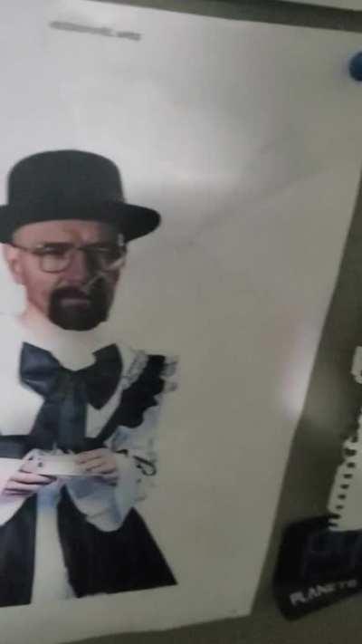 walter white, ignore my cute sniffing