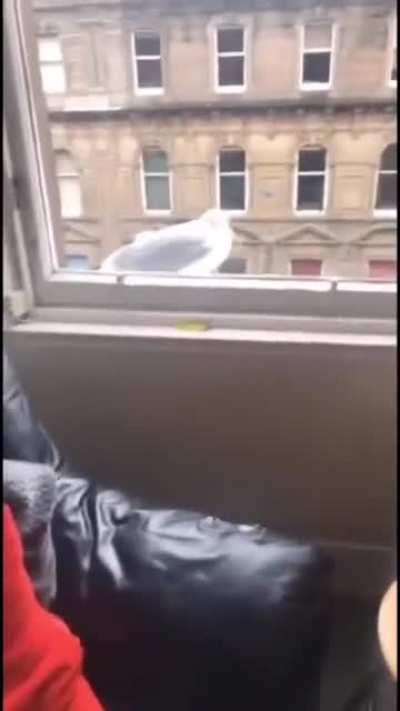 Why are you still here? Go away!