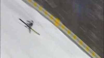 Alert! Fred spotted near Planica