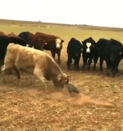 Think it over. You don’t want none of this.