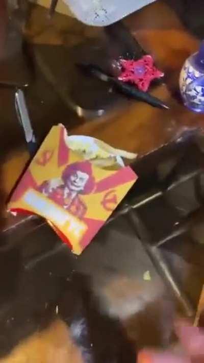 WHAT IS THIS INDOCTRINATION?!