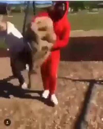 Funny pranks compilation