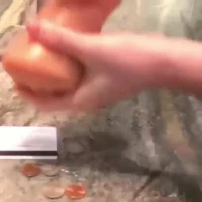 The end had me in fucking tears