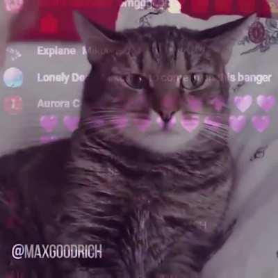 where were you when this beat dropped (jvne 6 2021 💜)