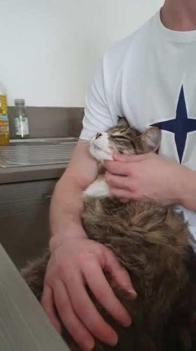 Convinced my boyfriend is only staying with me for my cat. Look how in love my cat looks. Yes, I'm jealous