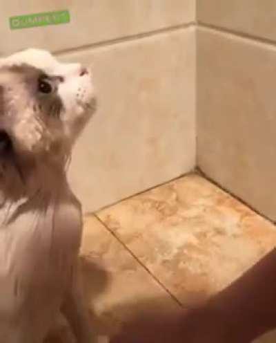 So sweet and patient!