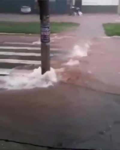 Brazilian engineering