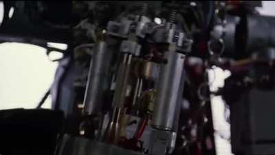 Johnny 5's punk phase.