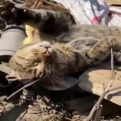 Were just hanging out